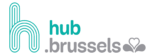 hub brussels hub brussels